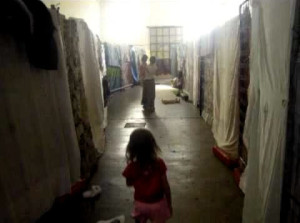 Via Salaria, Amatiello (La Destra): "Su ex cartiera, solita propaganda del Pd"