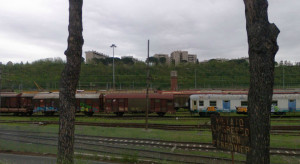 Rubano cavi di rame nel deposito ferroviario di Villa Spada, 2 arresti